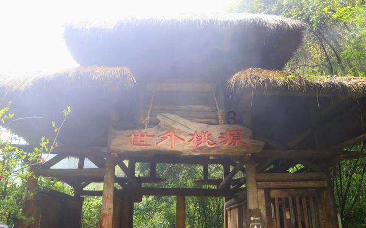 探索怎样更好更快的去黑眼圈的红迪网平台