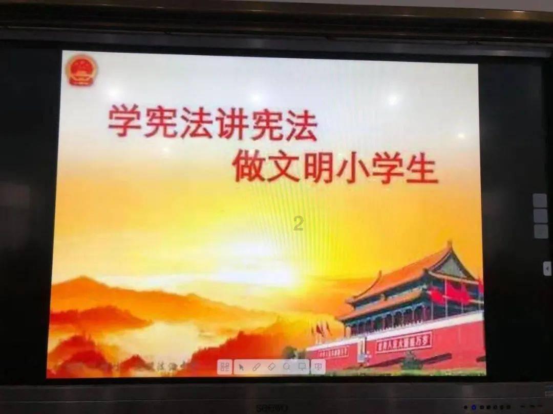 极速问答-女子粉黛花海拍照遇丁达尔效应,什么是丁达尔效应?相关问题一站解答平台